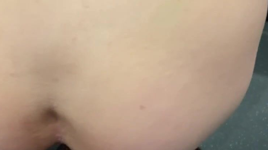 Random Stranger Fuck In Train Toilet