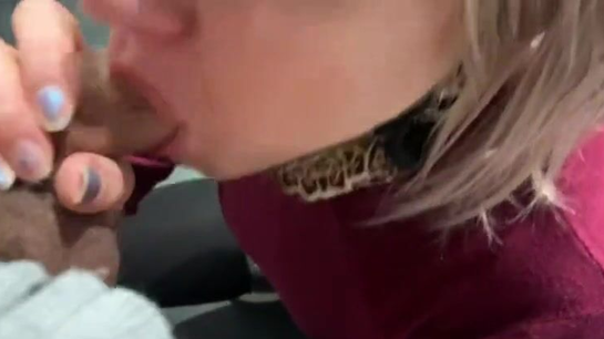 Random Stranger Fuck In Train Toilet