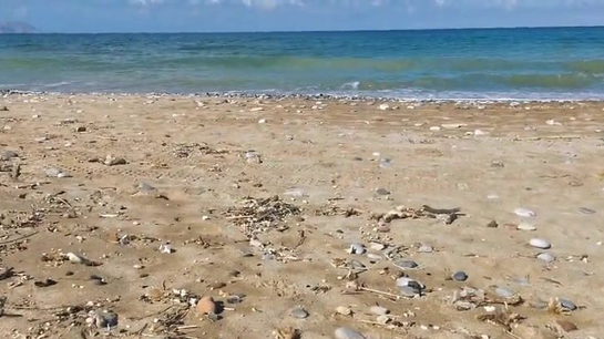 Wife Made Her Husband Cum While People Walked By On The Beach!