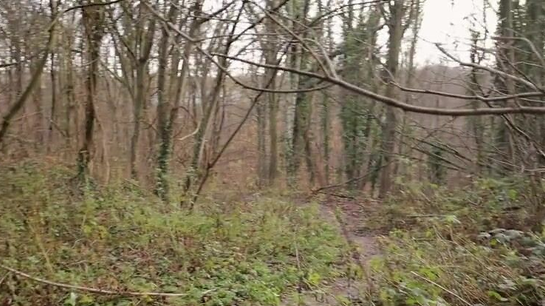 Got Horny With My Girl In The Park And Fucked Her Outdoors!
