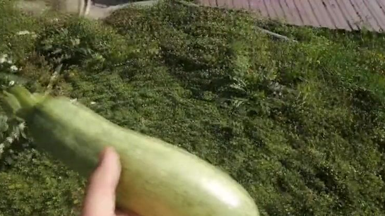 Hairy Russian Pussy Gets Fucked Hard Outdoors!
