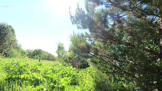 Filled My Wife's Mouth With Cum On Nature Walk!