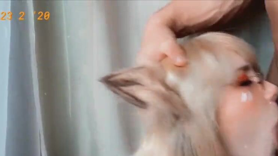Sweet Foxy Sucks Neighbor's Cock And Swallows Every Drop!